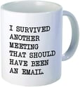 Meeting could have been email