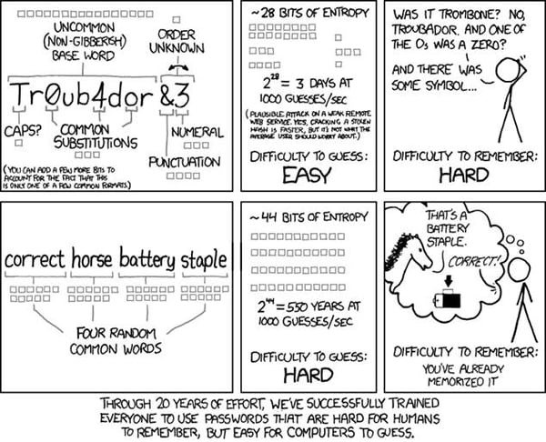 authentication cartoon